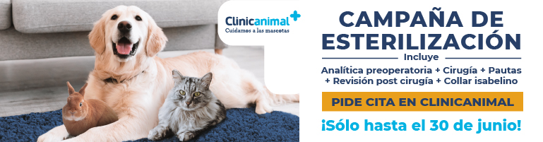 Campaña de esterilización en clínicas